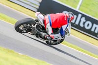 Oulton-Park-14th-March-2020;PJ-Motorsport-Photography-2020;anglesey;brands-hatch;cadwell-park;croft;donington-park;enduro-digital-images;event-digital-images;eventdigitalimages;mallory;no-limits;oulton-park;peter-wileman-photography;racing-digital-images;silverstone;snetterton;trackday-digital-images;trackday-photos;vmcc-banbury-run;welsh-2-day-enduro